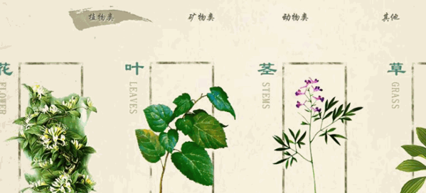 云南绿生中草药